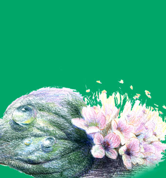 水性?xún)和揖咂?>
                                                                                <div   id=